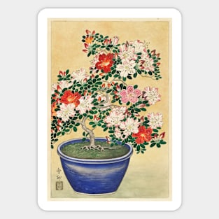 Flower painting, Blooming azalea in blue pot (1920 - 1930) Sticker